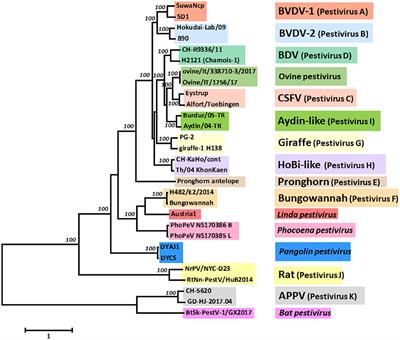 Eradication of Bovine Viral Diarrhoea (BVD) in Cattle in Switzerland: Lessons Taught by the Complex Biology of the Virus